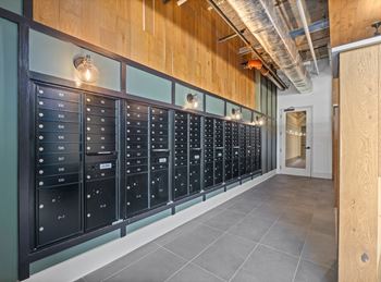 A row of black mailboxes are lined up on a wall.